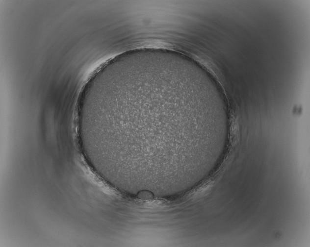 X0000113240979200909241542