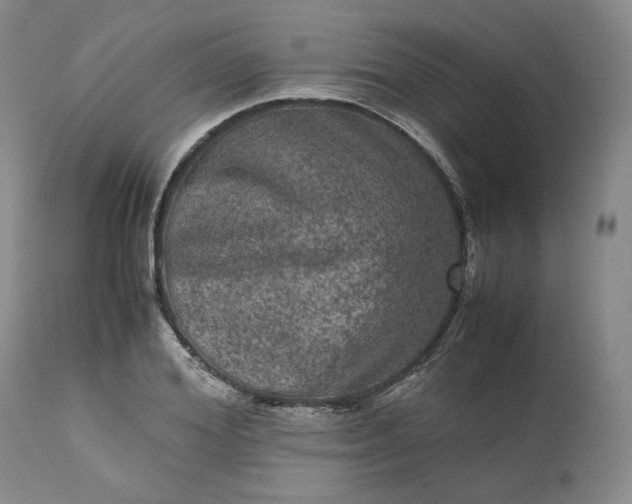 X0000113240980200909241542