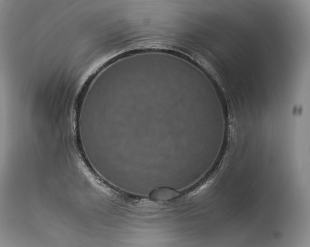 X0000113240981200909241542