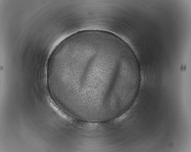 X0000113240982200909241542