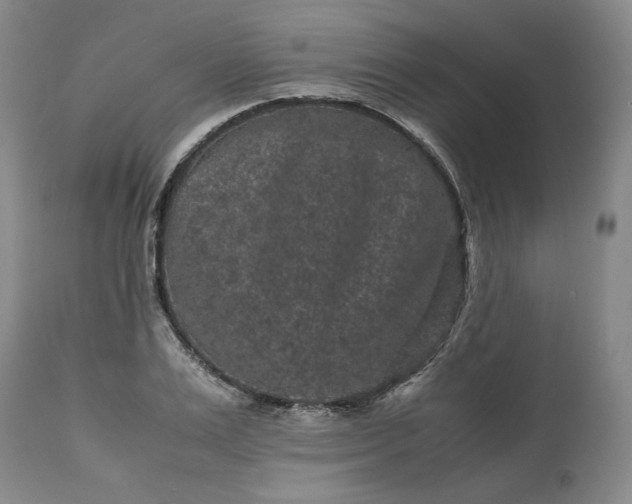 X0000113240983200909241542