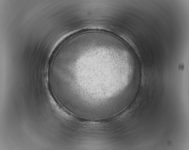 X0000113240984200909241542