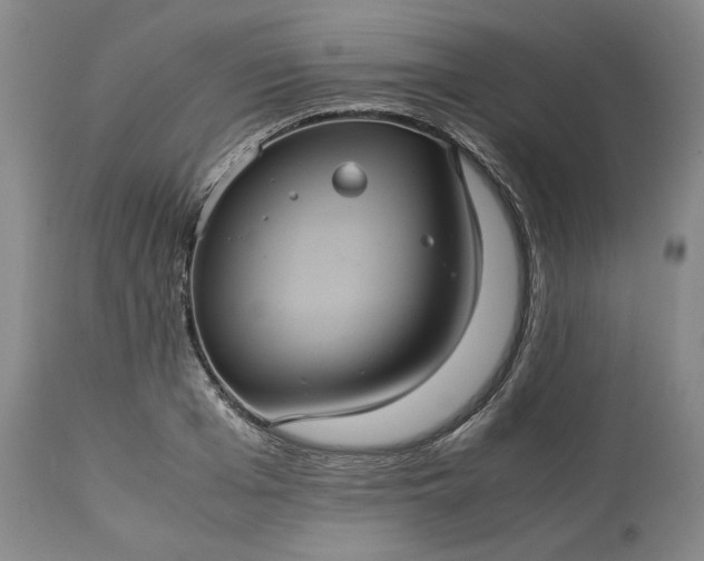 X0000113240985200909241542