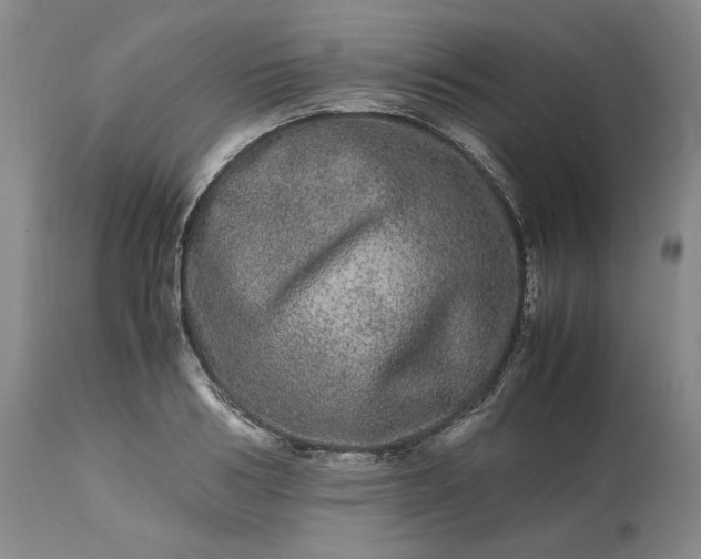 X0000113240986200909241542