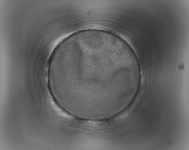 X0000113240987200909241542