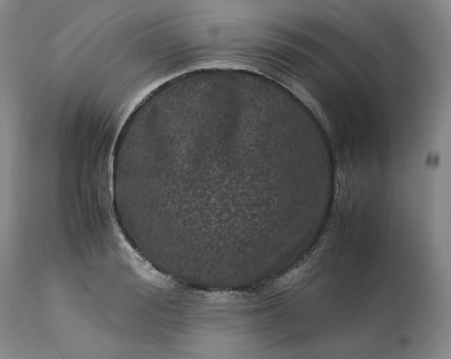 X0000113240988200909241542