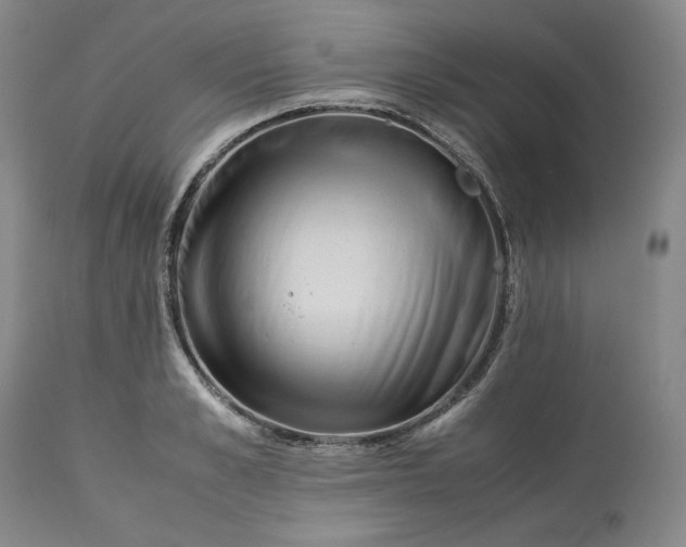 X0000113240989200909241542