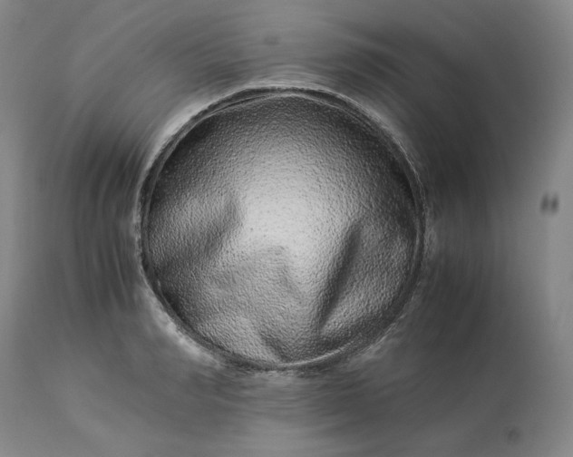 X0000113240990200909241542