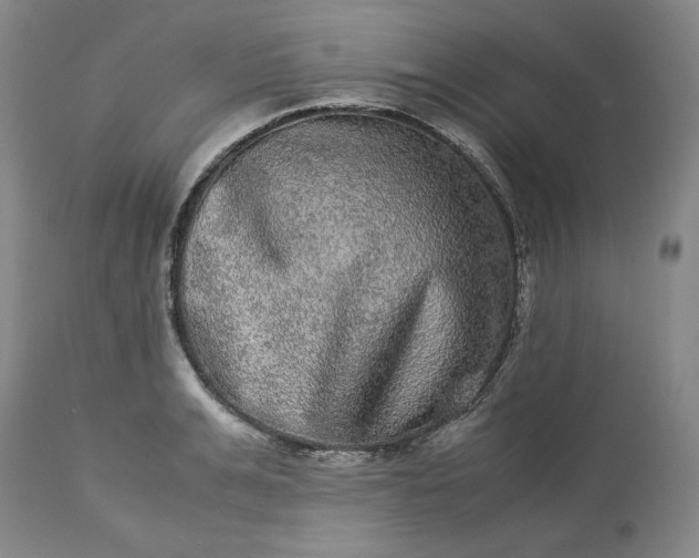 X0000113240991200909241542