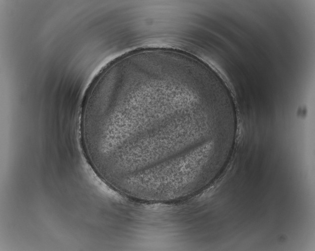 X0000113240992200909241542