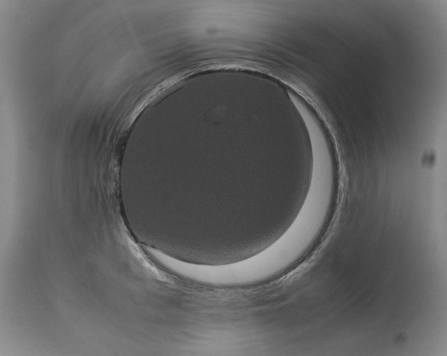 X0000113240993200909241542