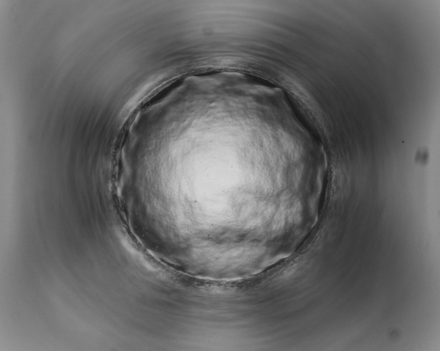 X0000113240994200909241542