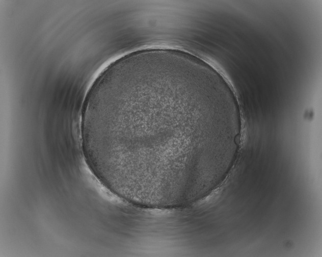 X0000113240996200909241542