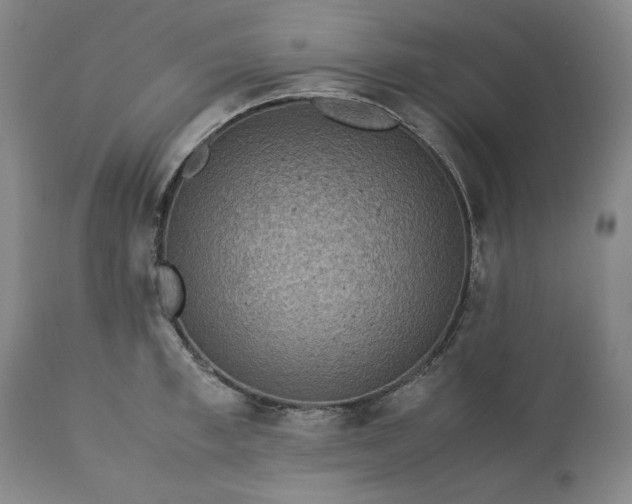 X0000113240997200909241542