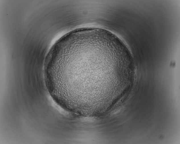 X0000113240998200909241542