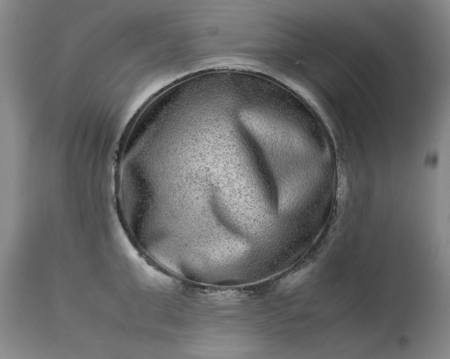 X0000113240999200909241542