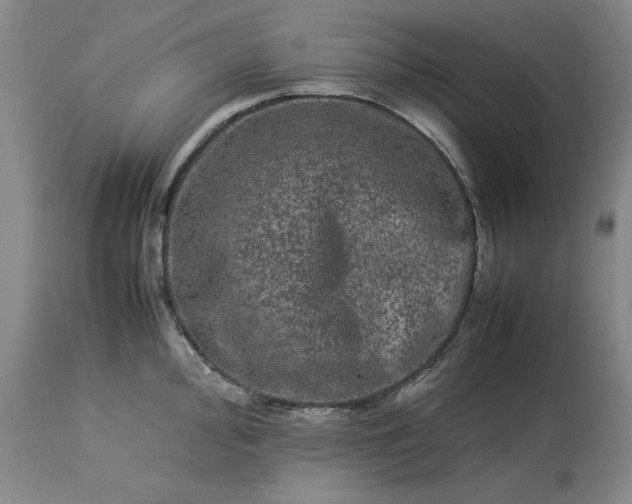 X0000113241000200909241542