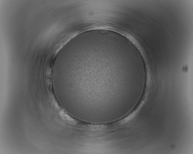 X0000113241001200909241542