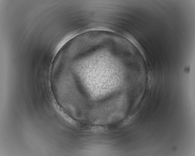 X0000113241002200909241542