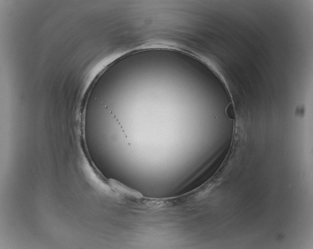 X0000113241003200909241542