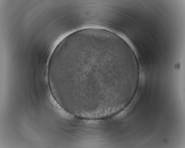 X0000113241004200909241542