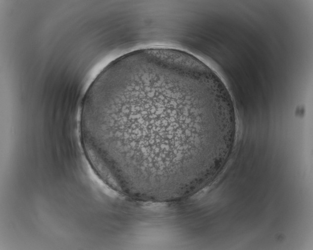 X0000113241006200909241542