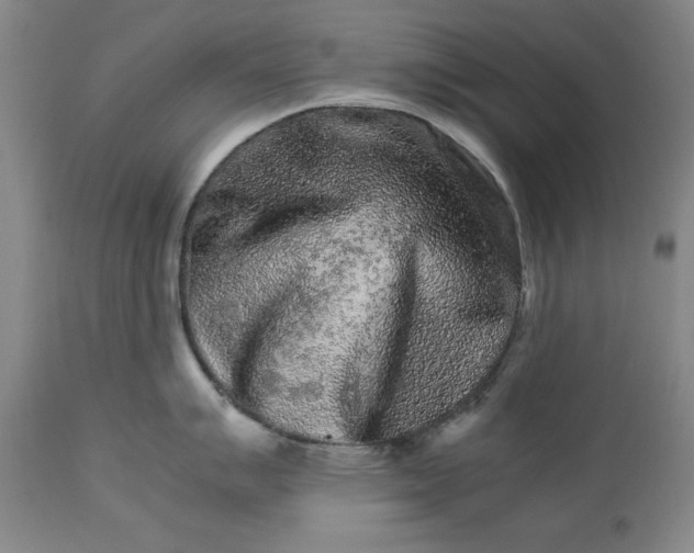 X0000113241007200909241542