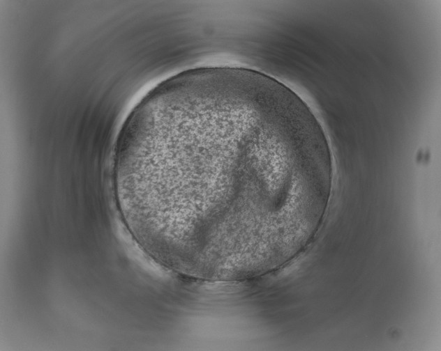 X0000113241008200909241542