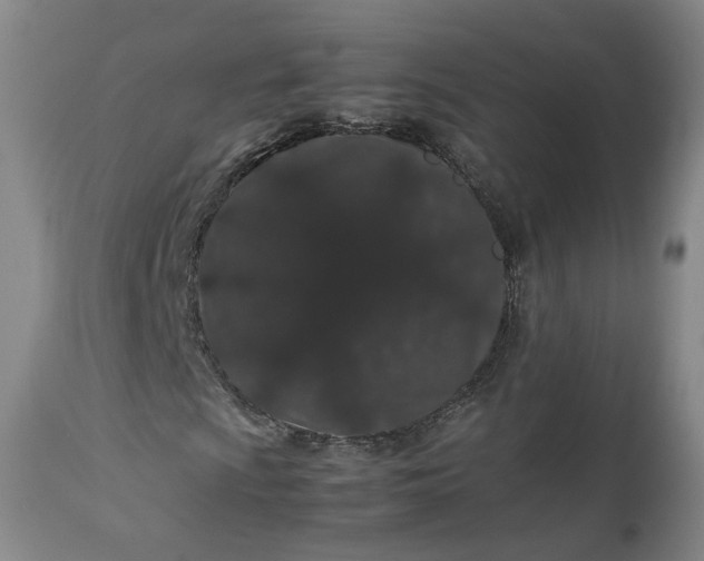 X0000113241009200909241541