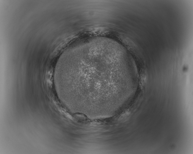 X0000113241010200909241541