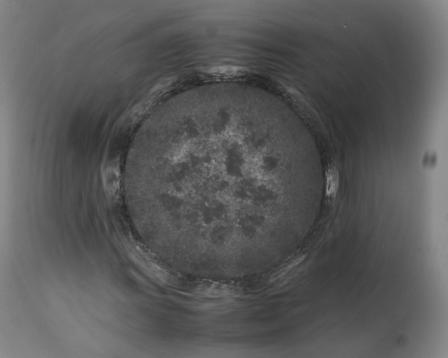 X0000113241011200909241541