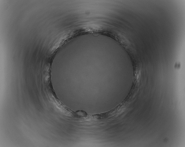 X0000113241012200909241541