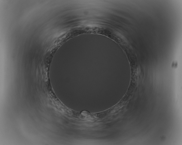 X0000113241013200909241541