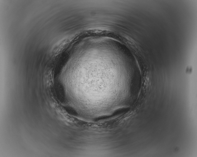 X0000113241014200909241541