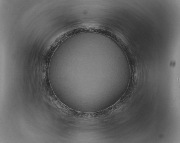 X0000113241016200909241541