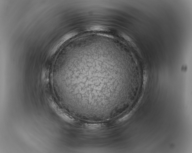 X0000113241017200909241541