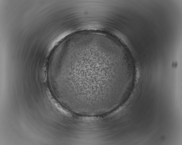 X0000113241018200909241541