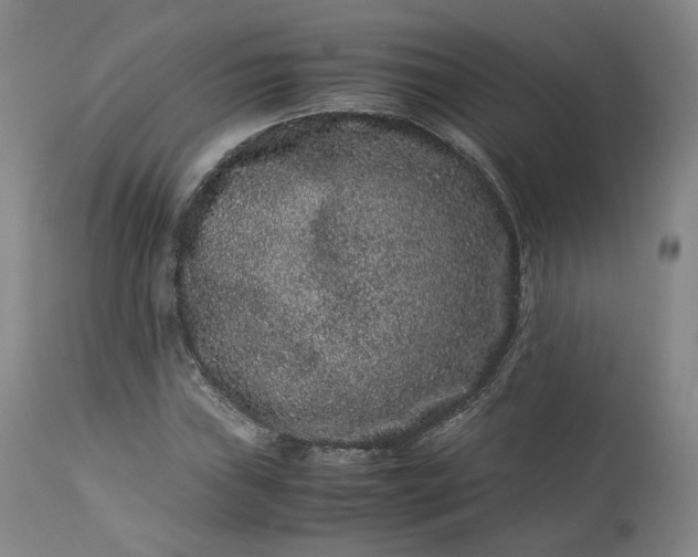 X0000113241019200909241541