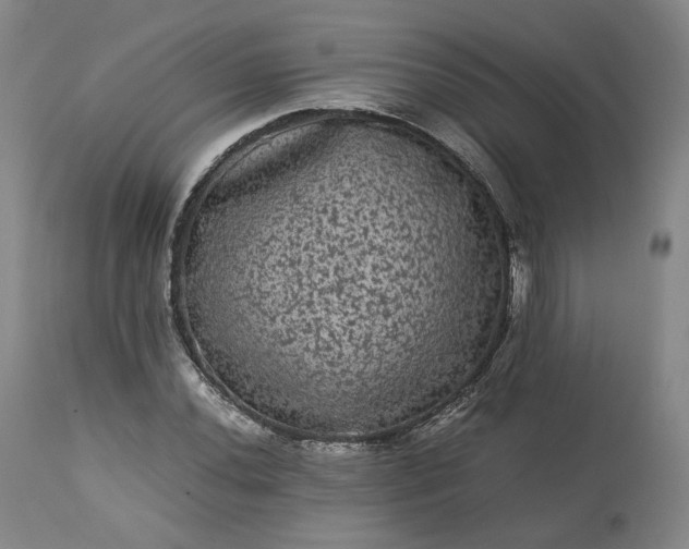 X0000113241020200909241541