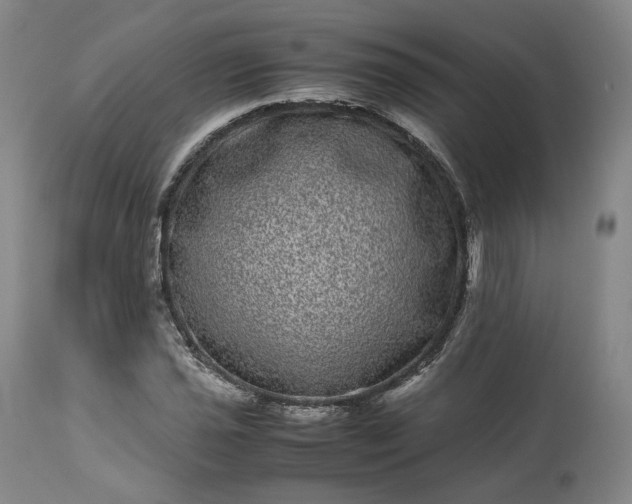 X0000113241021200909241541