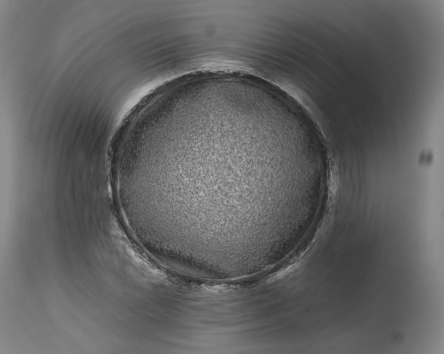 X0000113241022200909241541