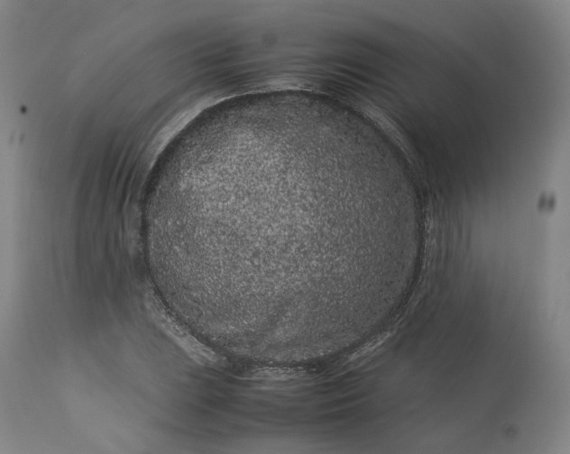 X0000113241023200909241541