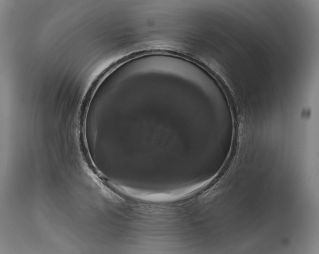 X0000113241024200909241541