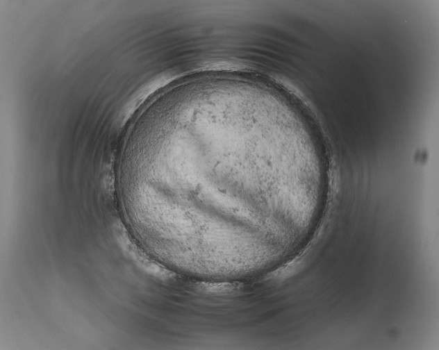 X0000113241025200909241541