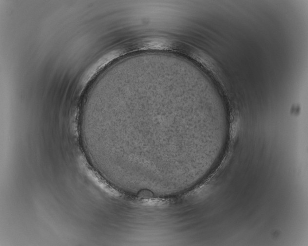 X0000113241026200909241541