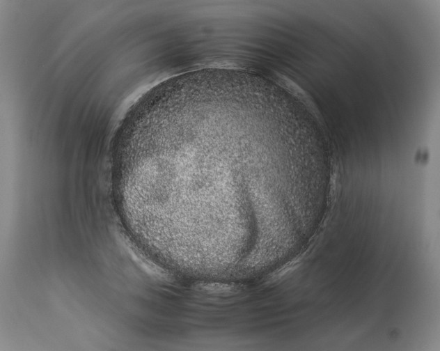 X0000113241027200909241541