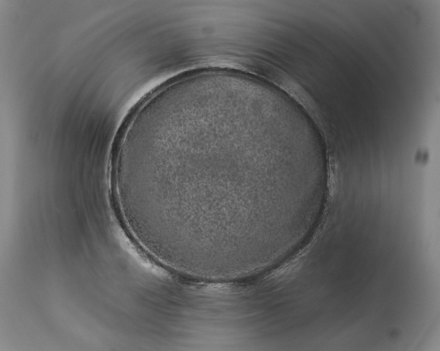 X0000113241028200909241541