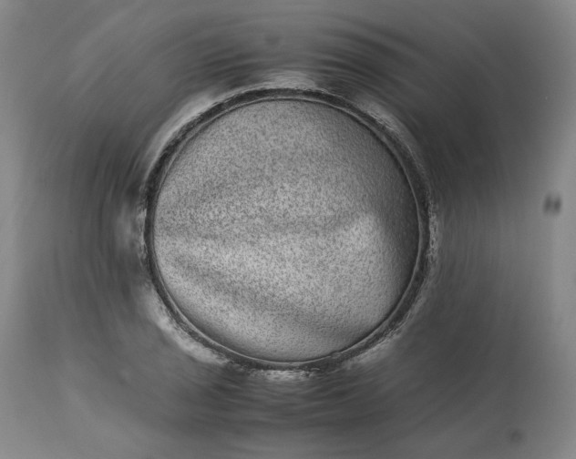 X0000113241029200909241541