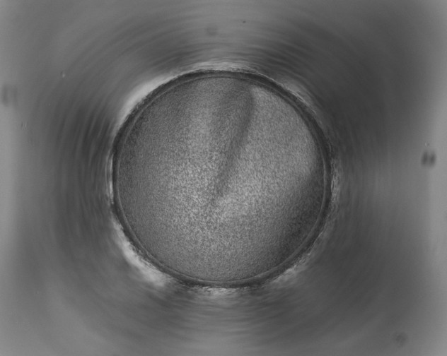 X0000113241030200909241541