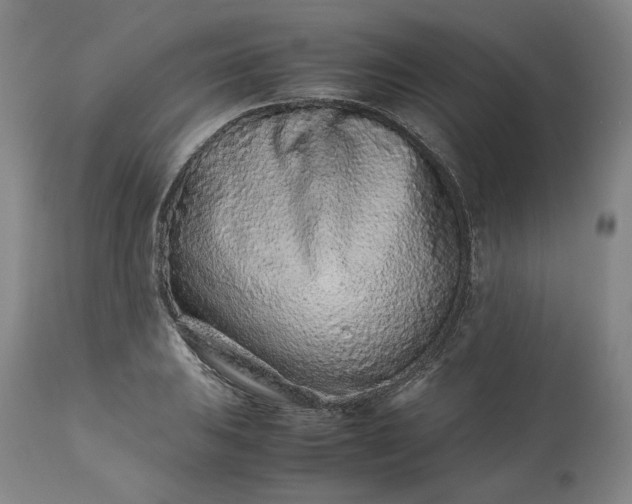 X0000113241031200909241541